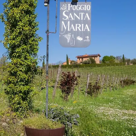 Appartamento Poggio Santa Maria - New Opening Badia (Umbria)