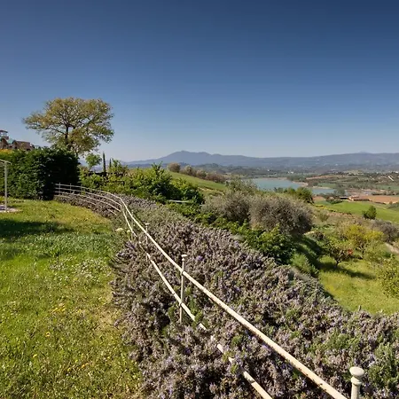 Appartamento Poggio Santa Maria - New Opening Badia (Umbria)