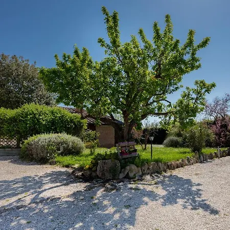Poggio Santa Maria - New Opening Appartamento Badia (Umbria)